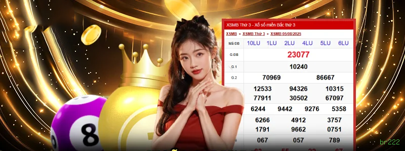 br222 — plataforma segura e premiada de apostas